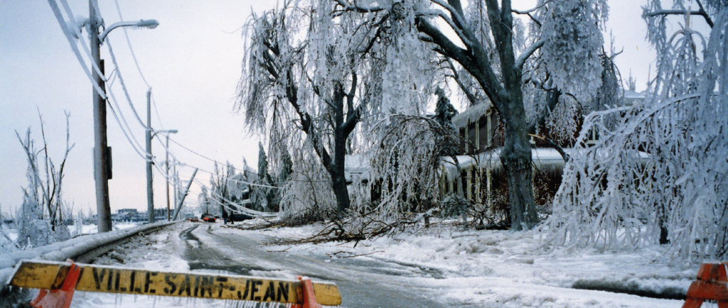 The Champlain road in Saint-Jean was closed because of falling branches and electrical wires that hang.