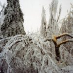 The weight of ice