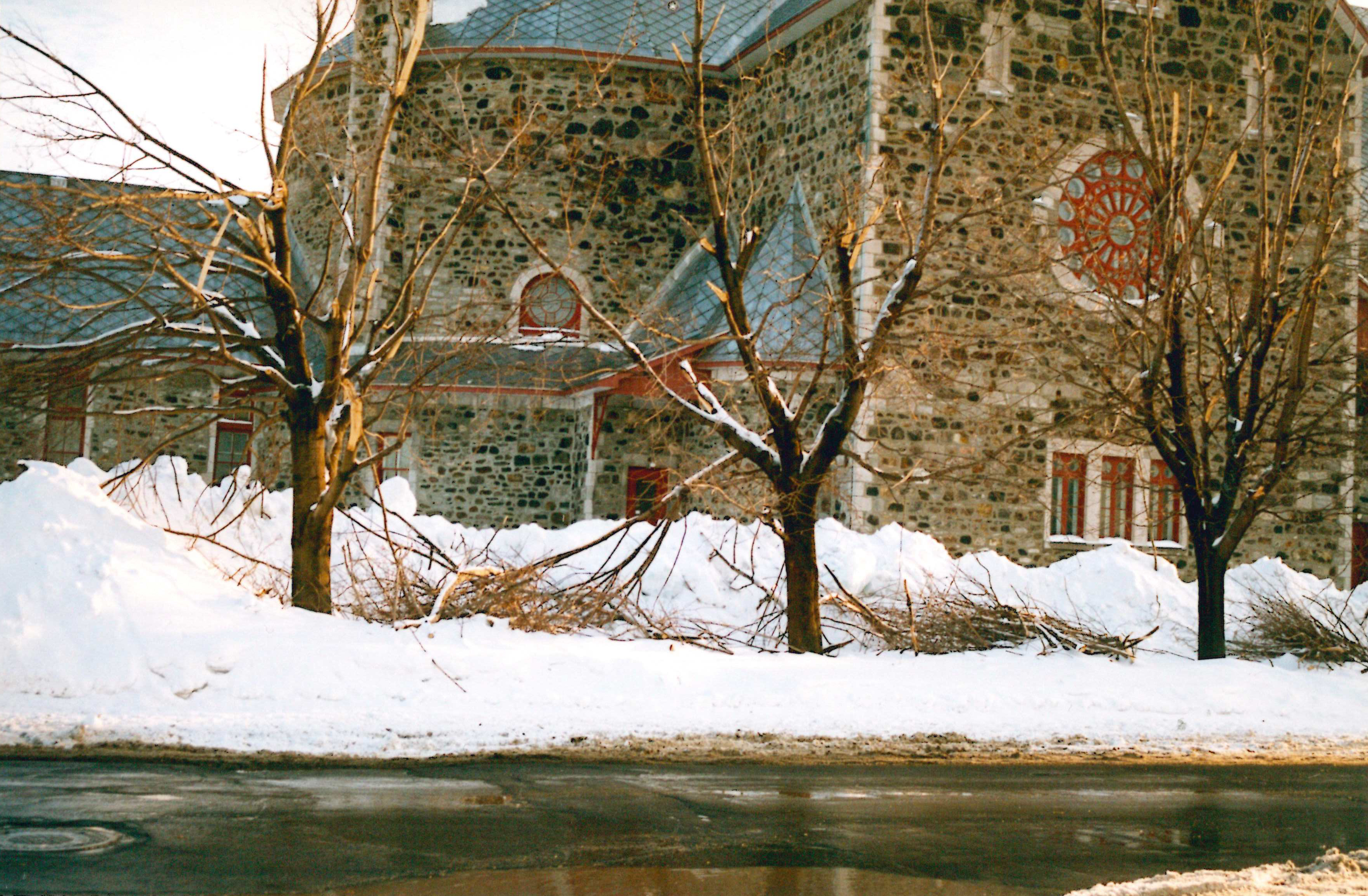 The branches fell under the weight of the ice in front of the Saint-Athanase church, in Iberville.