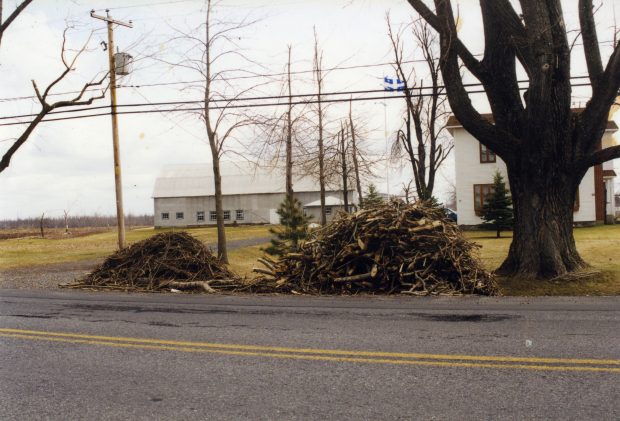 The branches were put on the roadside for pick-up.
