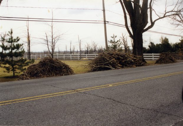 Getting rid of fallen branches once spring has arrived.