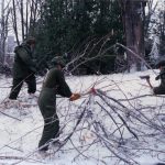 Soldiers help to pick up