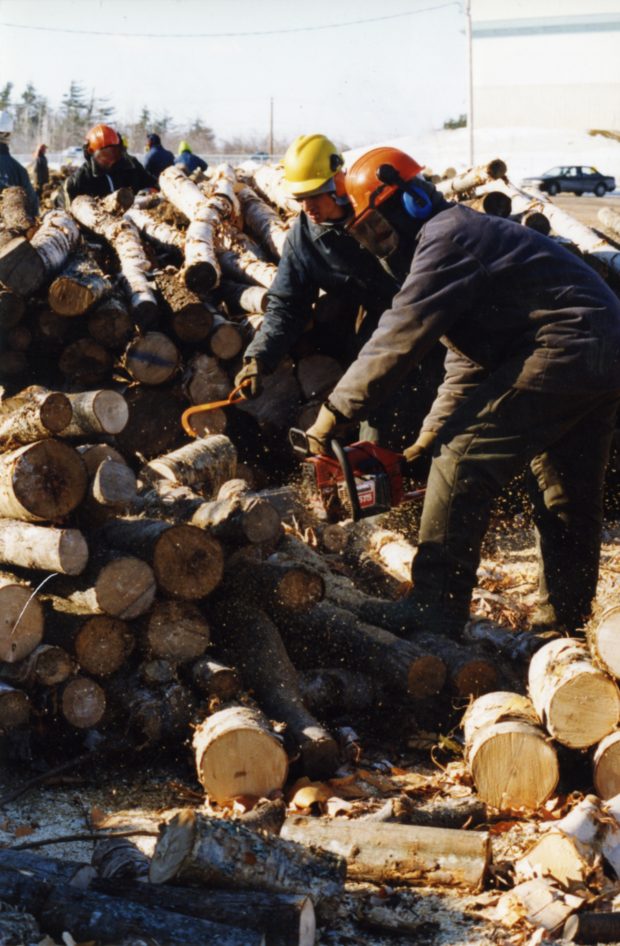 The wood recieved from the inside is cut into logs, that will be distributed freely to people in need.