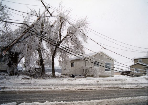 The mess of the trees is also caused by poles falling into their branches.