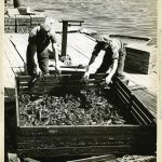 Co-operative fisheries, Pictou, Nova Scotia