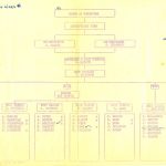 Chart of directors and committees