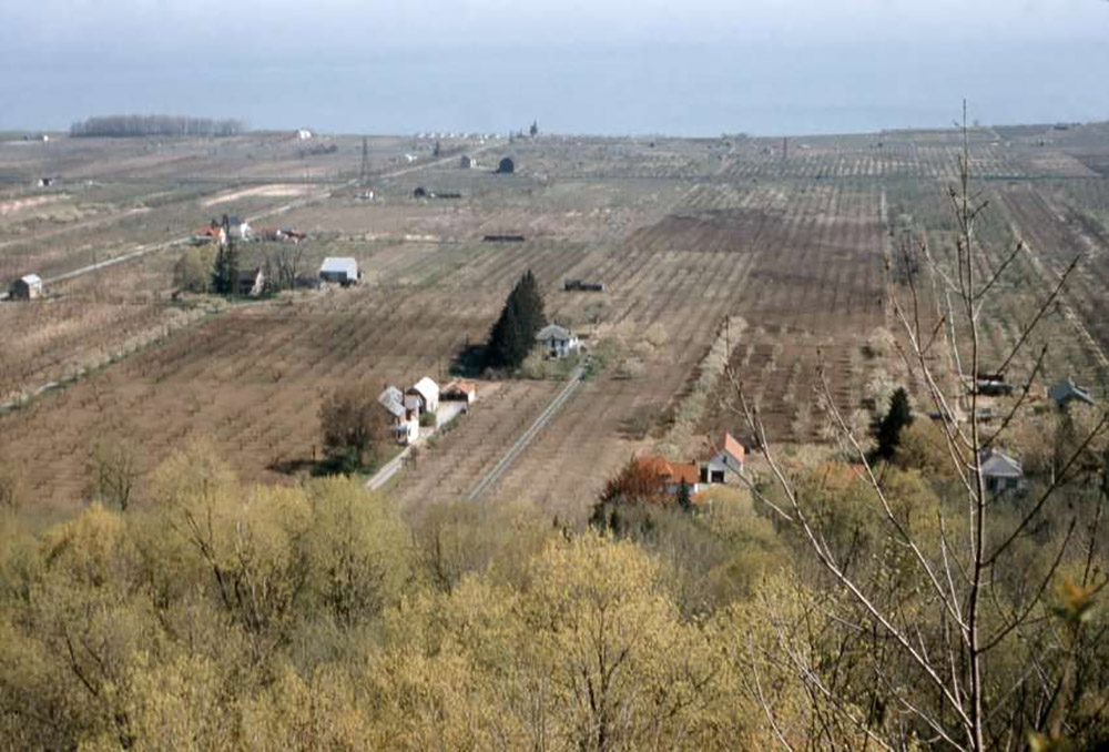 Colour picture of farmland looking over a lake. Grimsby