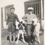 Two children with their calves, Grondines,  circa 1955