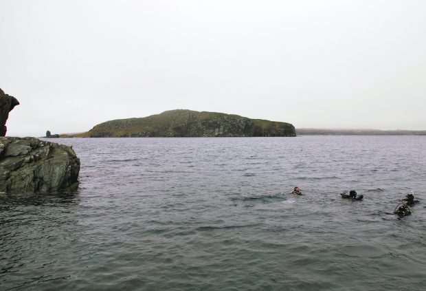 Colour photograph of a group of scuba divers in the water, with an island in the distance.
