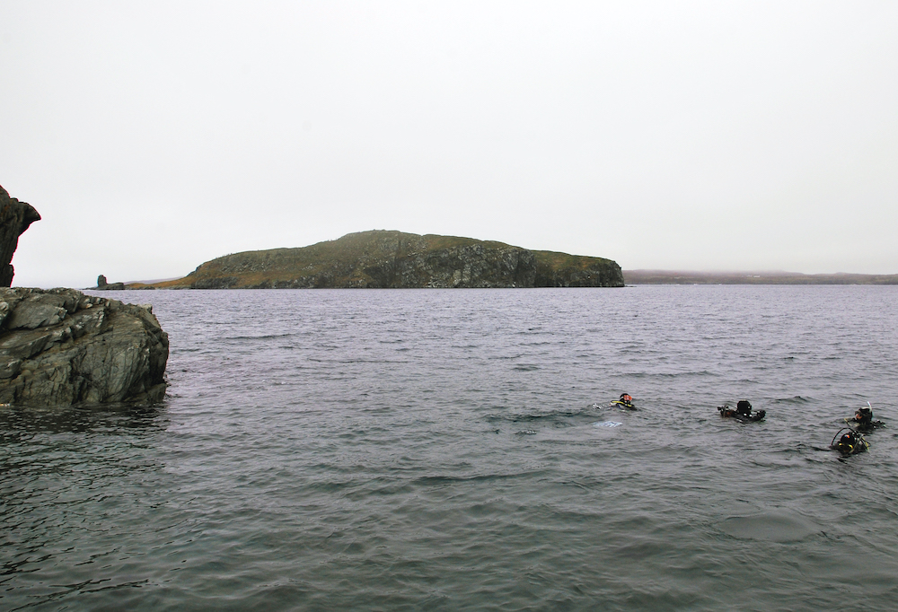 Colour photograph of a group of scuba divers in the water, with an island in the distance.
