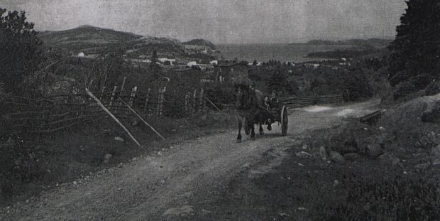A black and white photograph looking down a road lined with fences. There is a horse and cart, pulling two men towards the camera.
