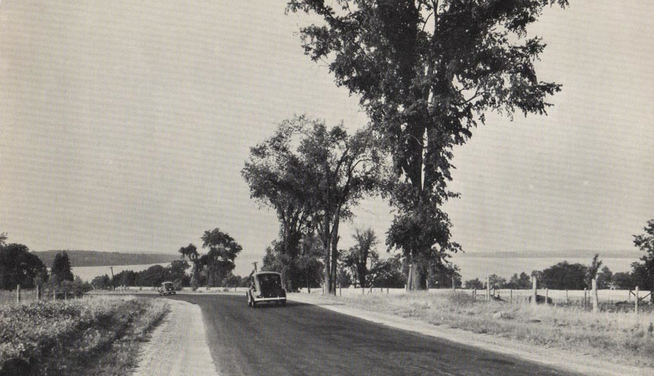 Black-and-white image of two cars driving along highway with trees and lake in background