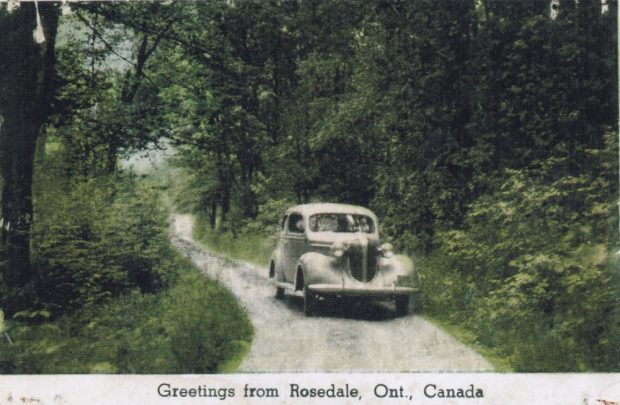 Colour image of a vintage vehicle travelling along road with trees and foliage on either side