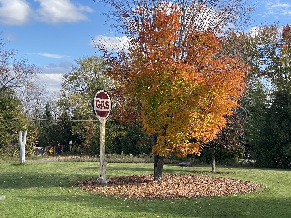 Colour image of sign surrounded by trees, fallen leaves, and lawn with sky in background