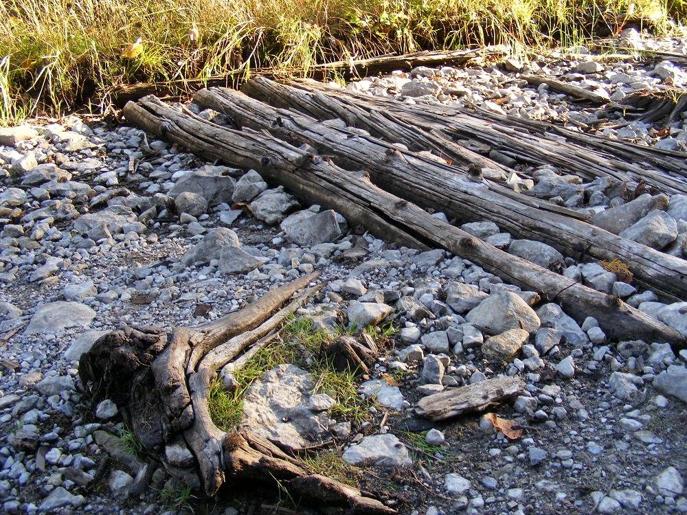 Colour image of log road ruins, gravel, and brush