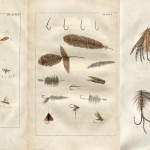 A Guide to Fly-Fishing