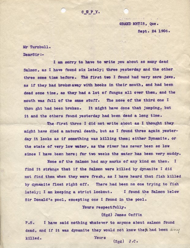 Letter from James Coffin to Robert Wilson Reford, concerning the state of the salmon on the Metis River on september 24, 1906.
