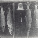 The Bell of Estevan Lodge