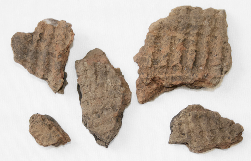 Fragments de poterie datant de la période du sylvicole moyen ancien (2 400 a 1 500 ans avant notre ère)