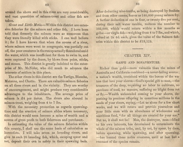 Pages 85 and 86 of the bookThe Salmon Fisheries of the St. Lawrence and its tributaries.