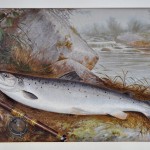 Fish in Art