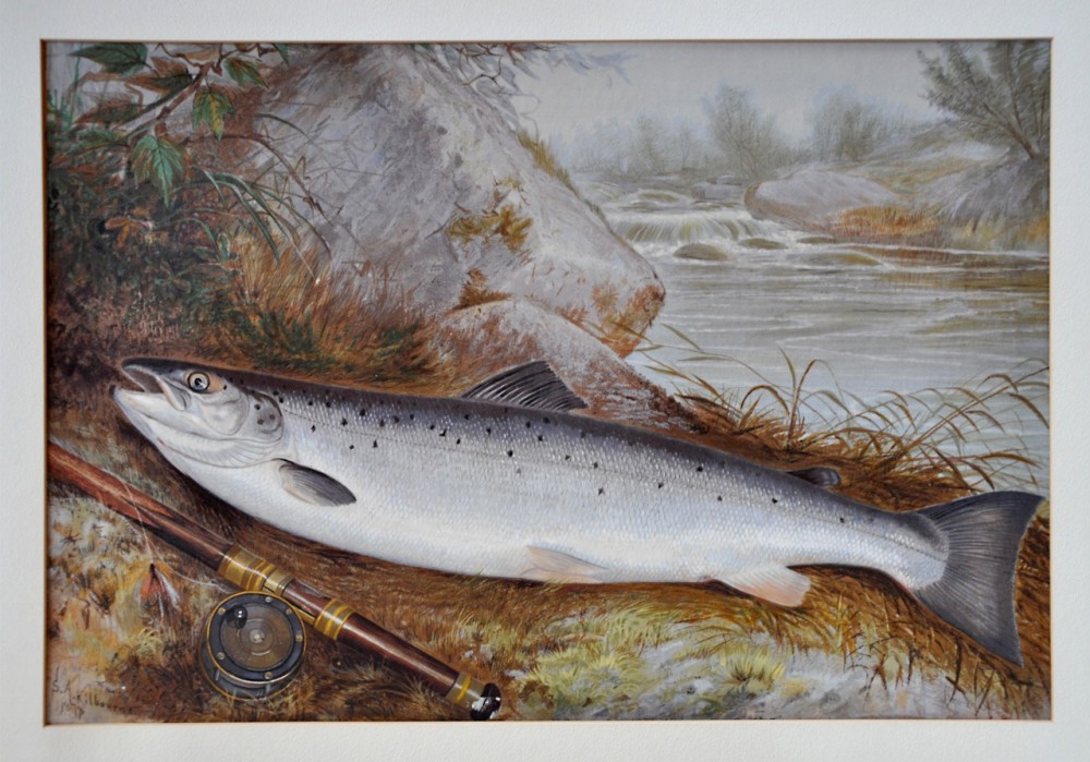 Chromolithography of the Atlantic salmon, here reposing in the company of the fisherman’s reel and rod by Samuel A. Kilbourne.