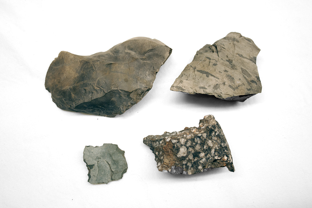 Four grey stone tools, not yet worked into a final form