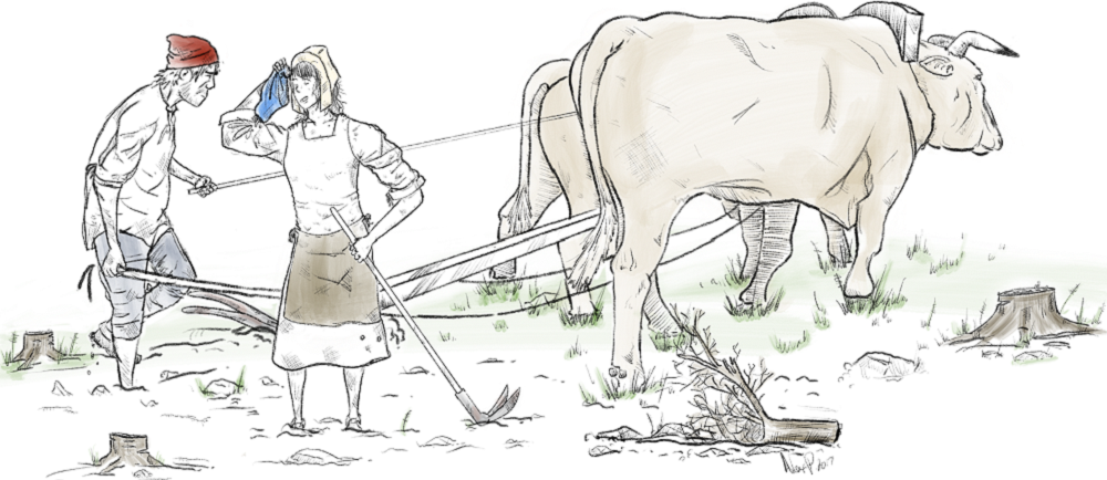 Drawing of Mathurin Tessier and Élisabeth Estourneau plowing a field using two steers and agrarian instruments.