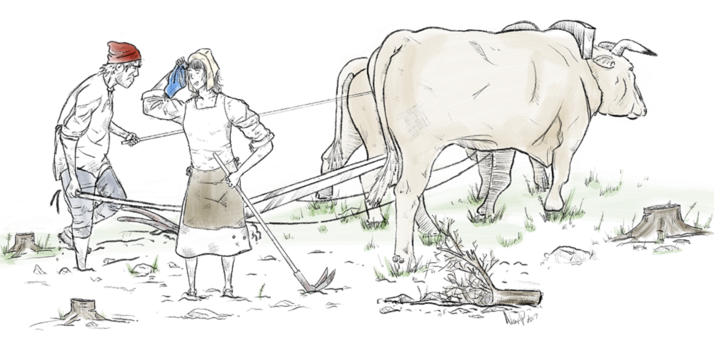 Drawing of Mathurin Tessier and Élisabeth Estourneau plowing a field using two steers and agrarian instruments.