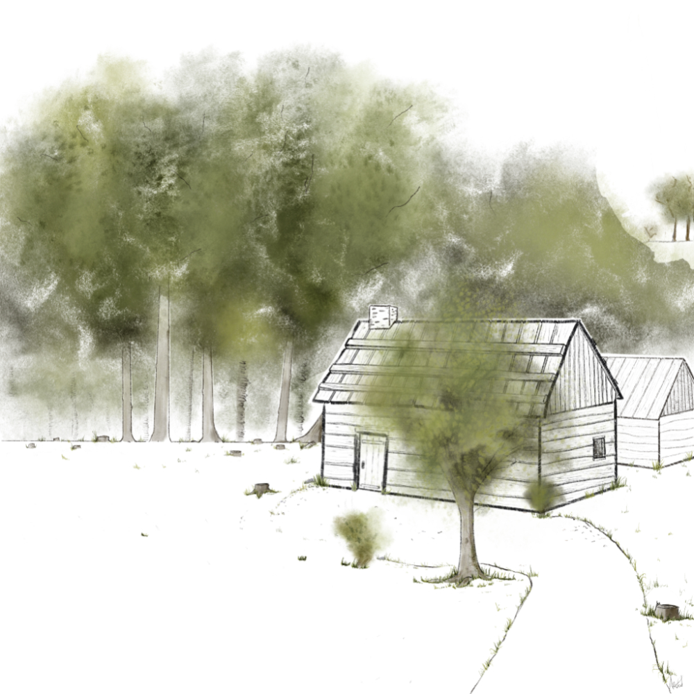 Drawing of a piece-by-piece settler’s house with a plank roof located on cleared land.