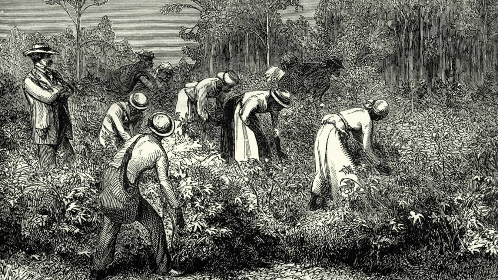 An engraving of slaves working.
