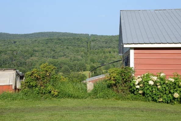 The boundary line brushes against the barn as shown by the white border marker and the cleared trench that stretches to the horizon.