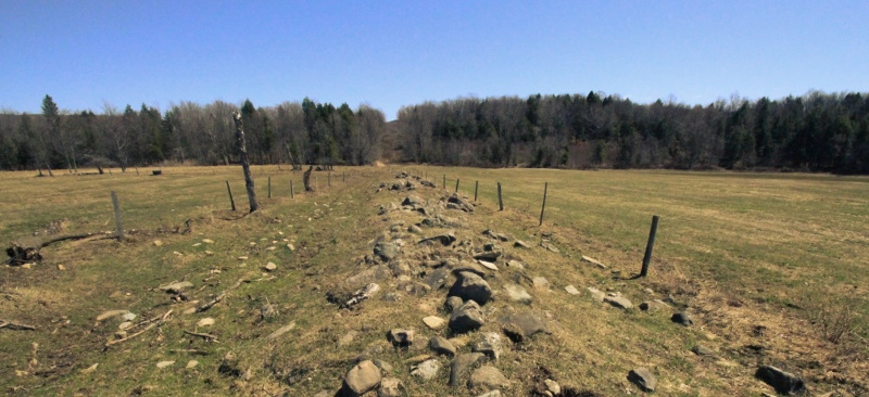 In this photo, the border looks like a stony path through the fields.