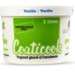 Greek-style Frozen Yogurt Container