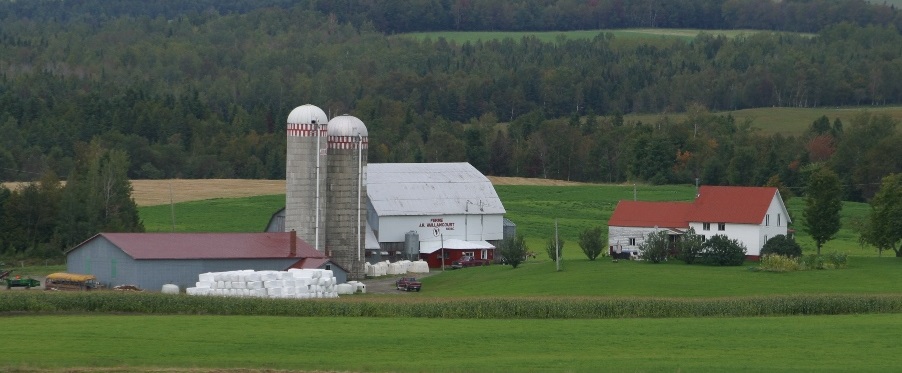 Panoramic colour photograph of a farm. There are five buildings and two silos surrounded by verdant lawns and hayfields, with some wrapped hay bales in front of one of the buildings; wooded areas and more fields are in the background.