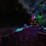 Partial View of Foresta Lumina (1)