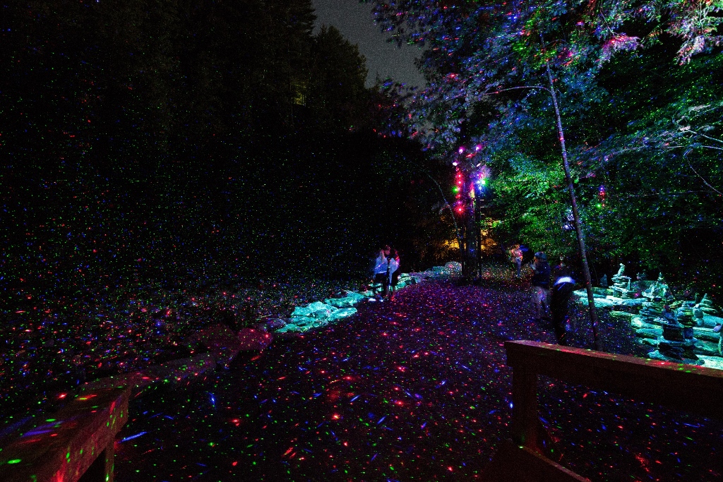 Colour photograph of visitors in a forested setting lit by red, blue, green and purple lighting.