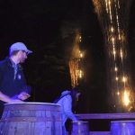 Partial View of Foresta Lumina (2)