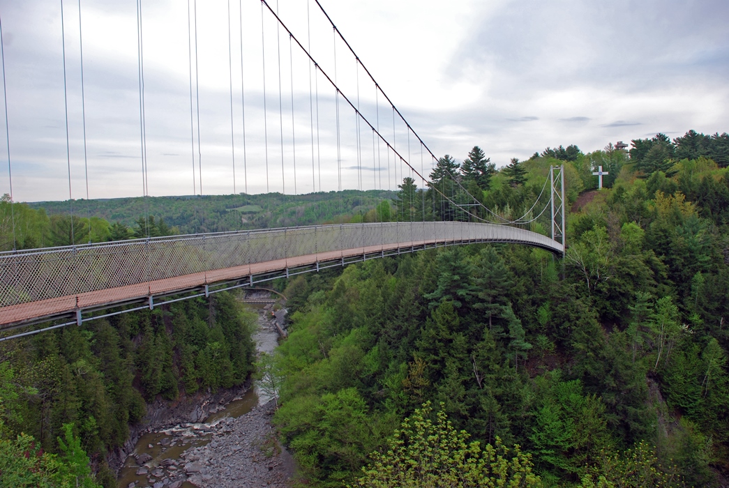 Colour photograph of the suspension bridge in a green forested setting, with the Gorge underneath.