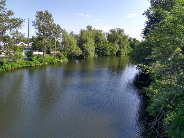 Colour photograph of a section of the Coaticook River bordered by pines.