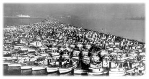 Thousands of fishing boats grouped together on a wide bay