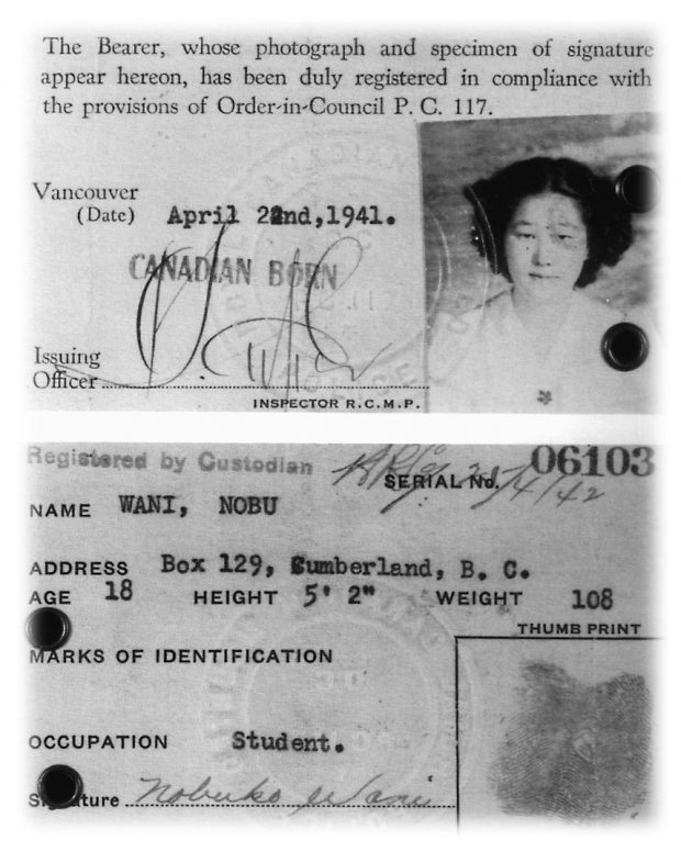 Photograph of the back and front of an ID card complete with portrait and thumb print