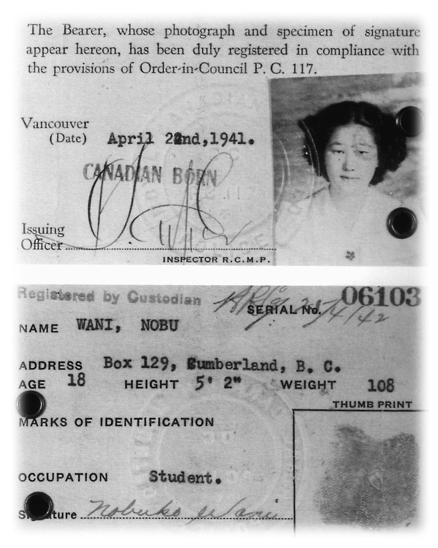 Photograph of the back and front of an ID card complete with portrait and thumb print