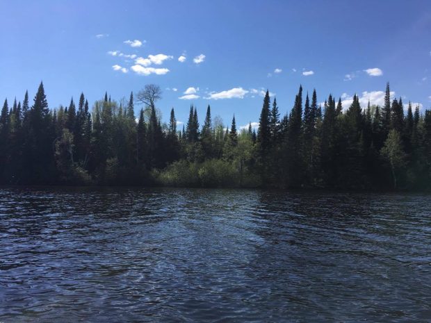 Summer landscape, Rapide-des-Cèdres. Coniferous and deciduous forest. A blue sky with some white shades and a stream (lake). Picture in color.