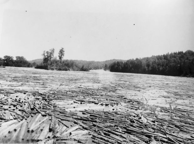 Logs floating in a stream (log drive).