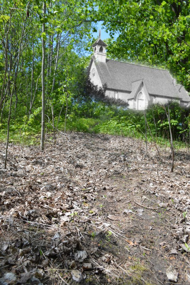 A B&W photograph of a church rising out of a contemporary image of woods.