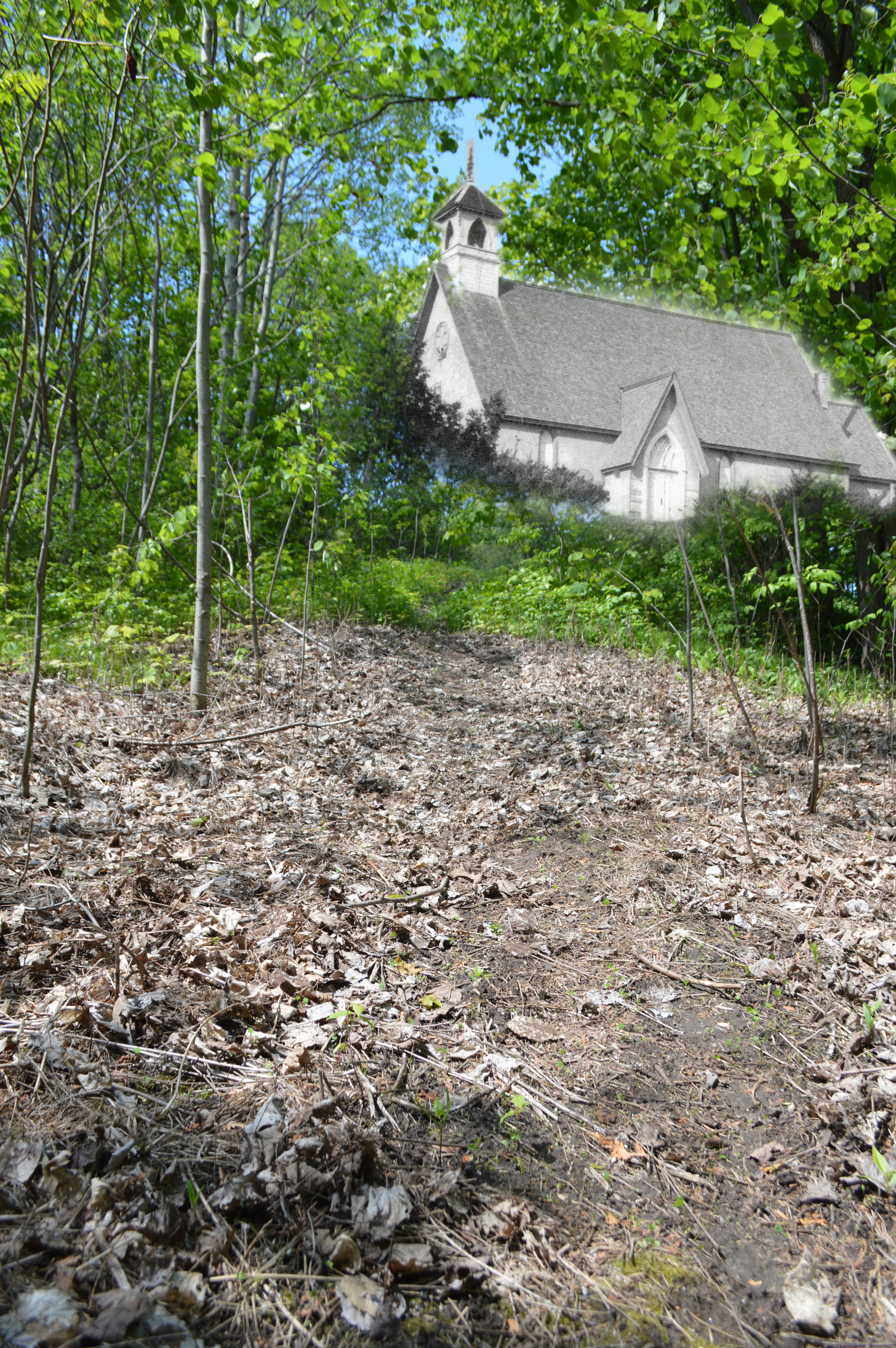 A B&W photograph of a church rising out of a contemporary image of woods.