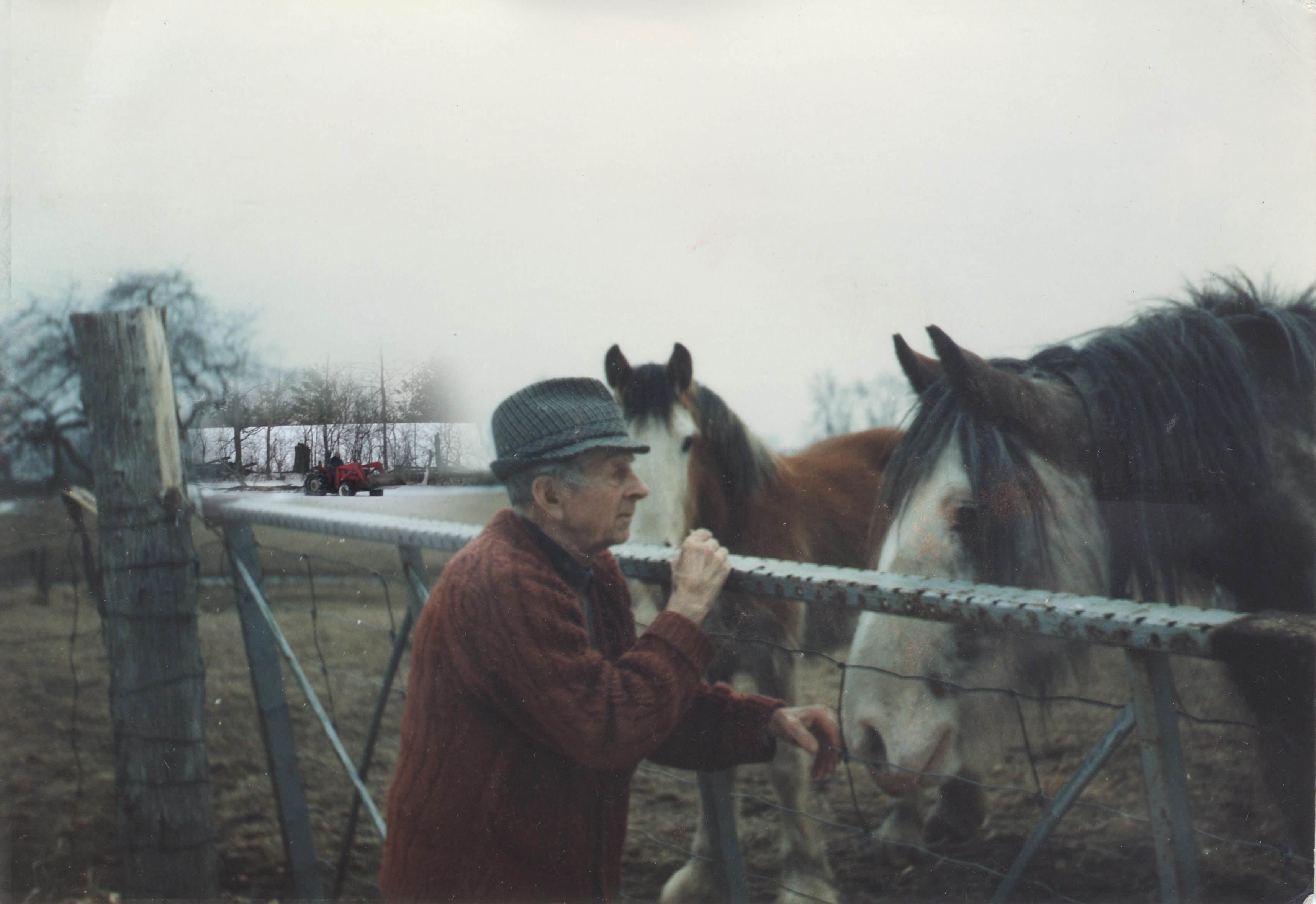 An elderly farmer standing at a steel gate, rubbing the nose of his of horse. In background a tractor skids firewood.
