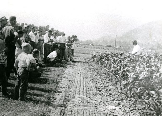 Black and white photograph of a crowd standing in a field of corn.