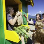 Family Corn Pick-up at Sparkes Corn Barn